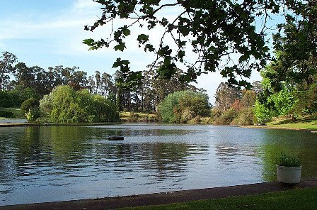 Fontys Pool Caravan Park - C Tourism 3