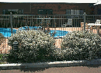 Tree Top Walk Motel - C Tourism 1