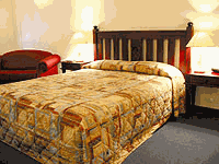 Tree Top Walk Motel - C Tourism 4