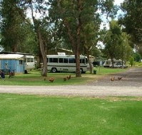Harvey Rainbow Caravan Park - C Tourism