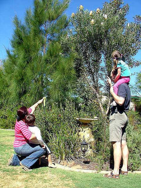 The Pavilion Bed And Breakfast - C Tourism 3