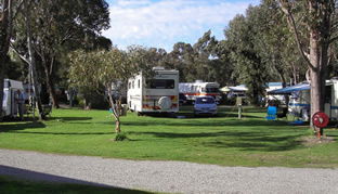 Pinjarra Caravan Park - C Tourism 0