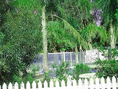 Pinjarra Caravan Park - C Tourism 3