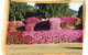 Capricorn Holiday Park - thumb 3