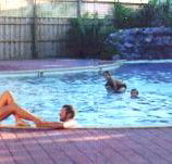 Shark Bay Caravan Park - C Tourism