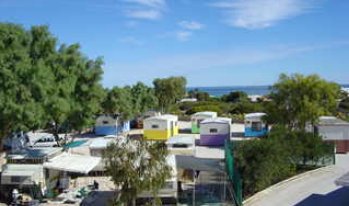 Shark Bay Caravan Park - C Tourism 2