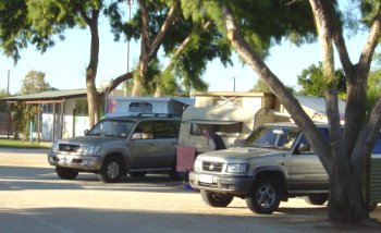 Shark Bay Caravan Park - C Tourism 3