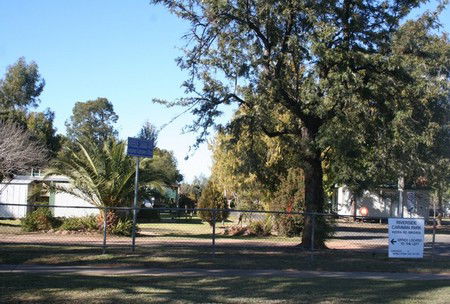 Bingara Caravan Park - C Tourism 0