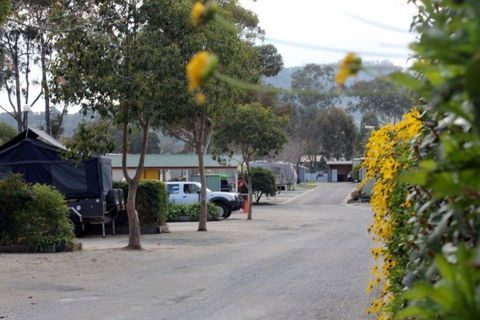 Albury All Seasons Tourist Park - C Tourism 0