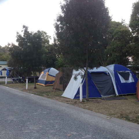 Albury All Seasons Tourist Park - C Tourism 9