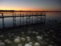 Lake Clifton Caravan Park - C Tourism 0