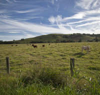 Annas Retreat - C Tourism