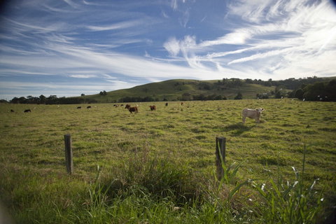Annas Retreat - C Tourism 0