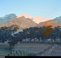 Barney Creek Vineyard Cottages - C Tourism