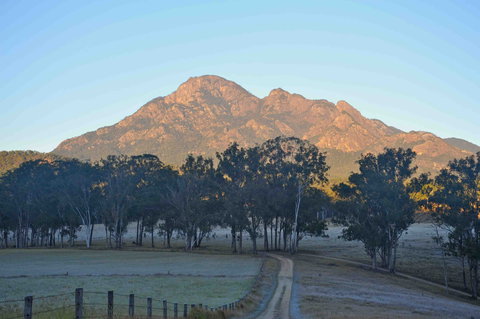 Barney Creek Vineyard Cottages - C Tourism 0