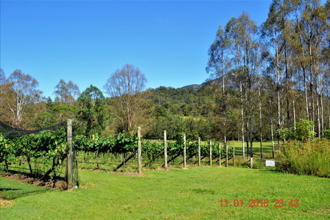 Barney Creek Vineyard Cottages - C Tourism 1