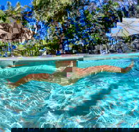 BIG4 Ballina Headlands Holiday Park - C Tourism