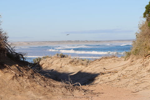 Chadinga Conservation Park Campground - C Tourism 0