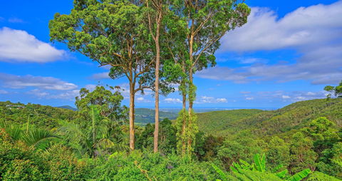 Cloud 9 Cliff Top Eagle Heights - C Tourism 1