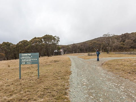Cooinbil Hut Campground - C Tourism 0