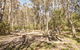 Coree Campground - thumb 0