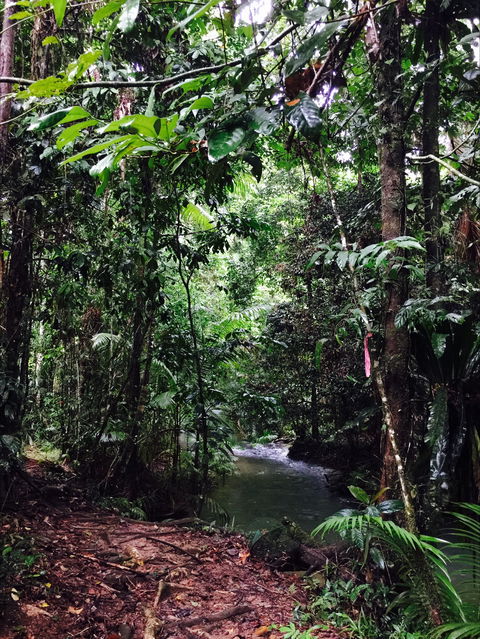 Daintree Wilderness Lodge - C Tourism 2