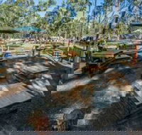 Dashville - C Tourism