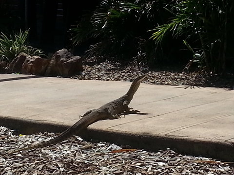 Escape 1770 - C Tourism 2