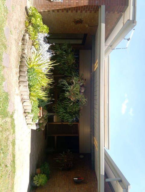 Hilltop Escape B&B - C Tourism 0