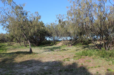 K'gari (Fraser Island) Camping, Great Sandy National Park - C Tourism 1