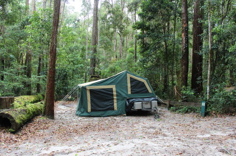 K'gari (Fraser Island) Camping, Great Sandy National Park - C Tourism 2
