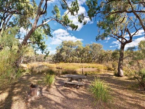 Kings Plains Creek Campground - C Tourism 0