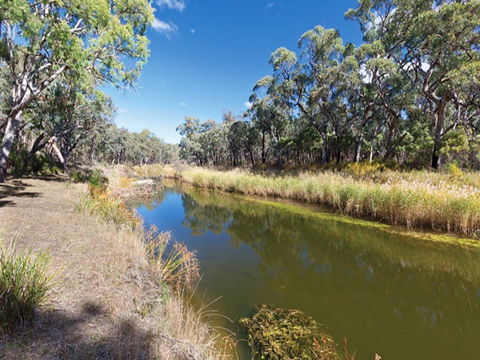 Kings Plains Creek Campground - C Tourism 1