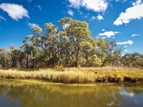 Kings Plains Creek Campground - C Tourism 2