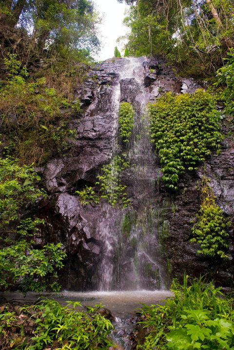Nimbin Waterfall Retreat - C Tourism 0