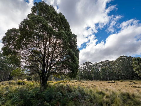 Nunnock Campground - C Tourism 0