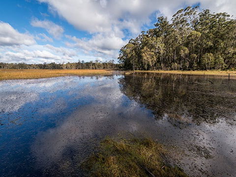 Nunnock Campground - C Tourism 2