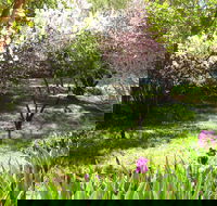 Sofala Cottage - C Tourism