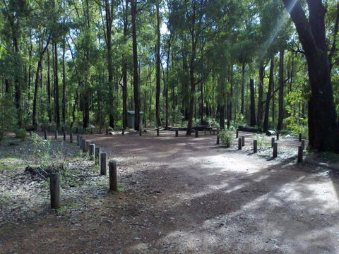 Stringers Camp At Lane Poole Reserve - C Tourism 0