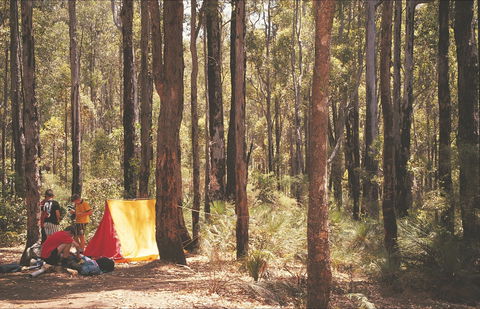 Stringers Camp At Lane Poole Reserve - C Tourism 1