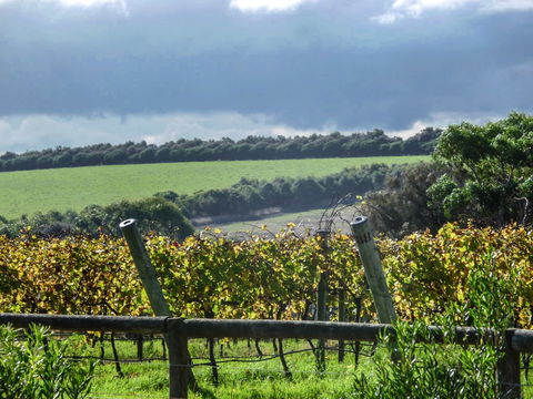 Suma Park Estate - C Tourism 1