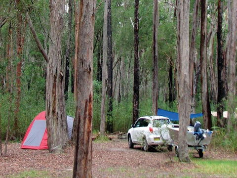 Wallingat River Campground - C Tourism 0