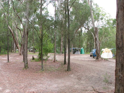 Wallingat River Campground - C Tourism 1