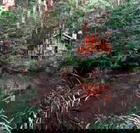 Woodlands Rainforest Retreat - C Tourism