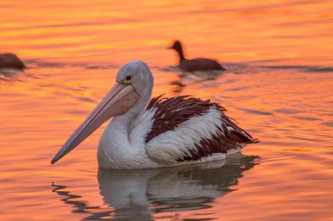 4 Pelican Court - River Shack Rentals - C Tourism 0