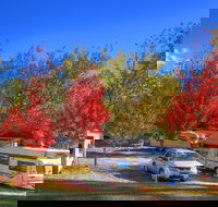 Beechworth Lake Sambell Caravan Park - C Tourism