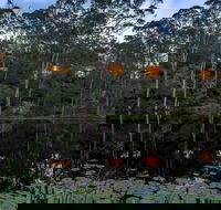 Billabong Retreat - C Tourism