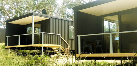 Bimbi Park Camping Under Koalas - C Tourism 2