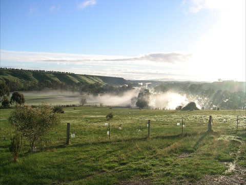 Celestine House - C Tourism 1