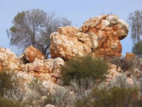 Credo Homestead Camp At Credo Conservation Park - C Tourism 0